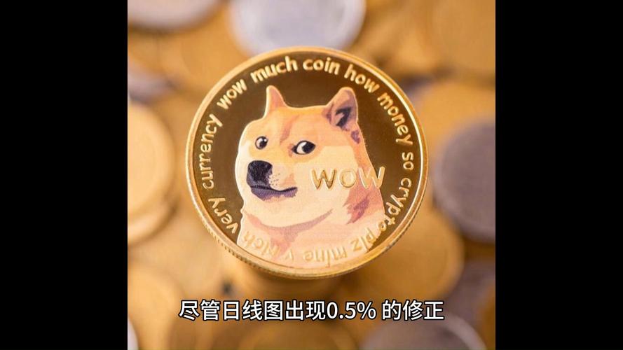 狗狗币还有升值空间吗:狗狗币以后有没有上涨的空间