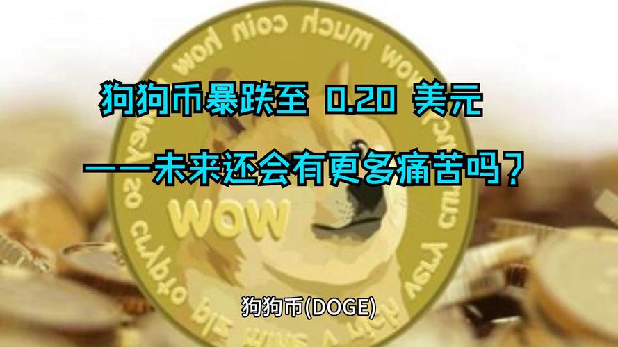 比特币2025预言:狗狗币涨到30000