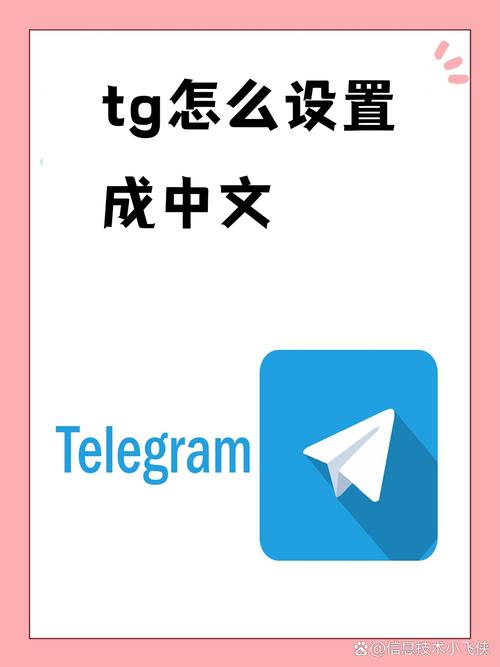 tg官方版没有中文的简单介绍