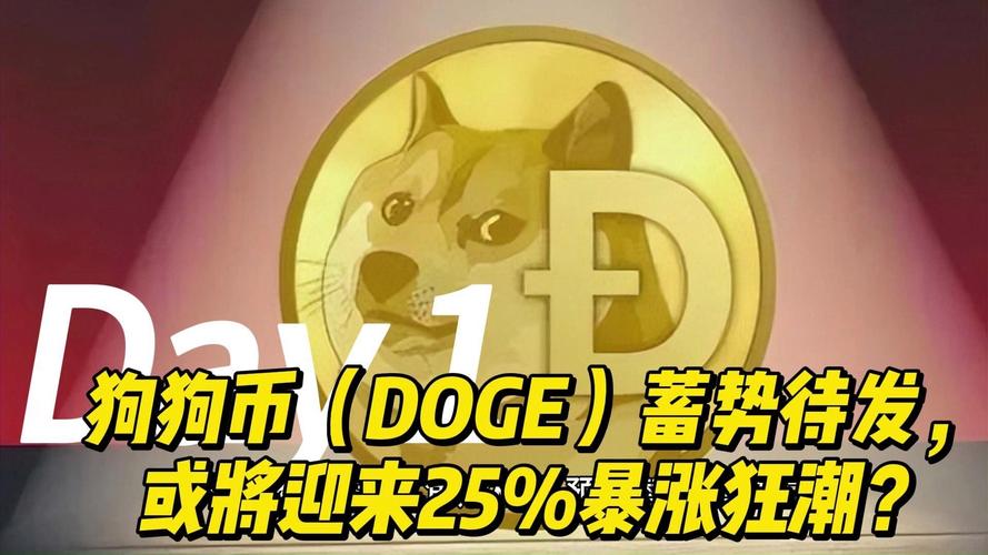 狗狗币已被国家正式批准:狗狗币2025会涨到多少
