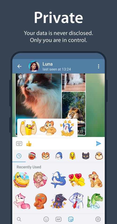 苹果telegeram下载:download telegram iphone
