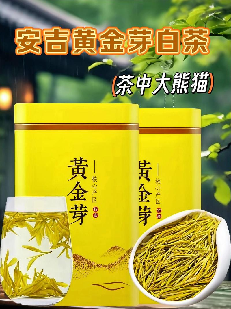 黄金芽:黄金芽茶叶产地哪里最正宗
