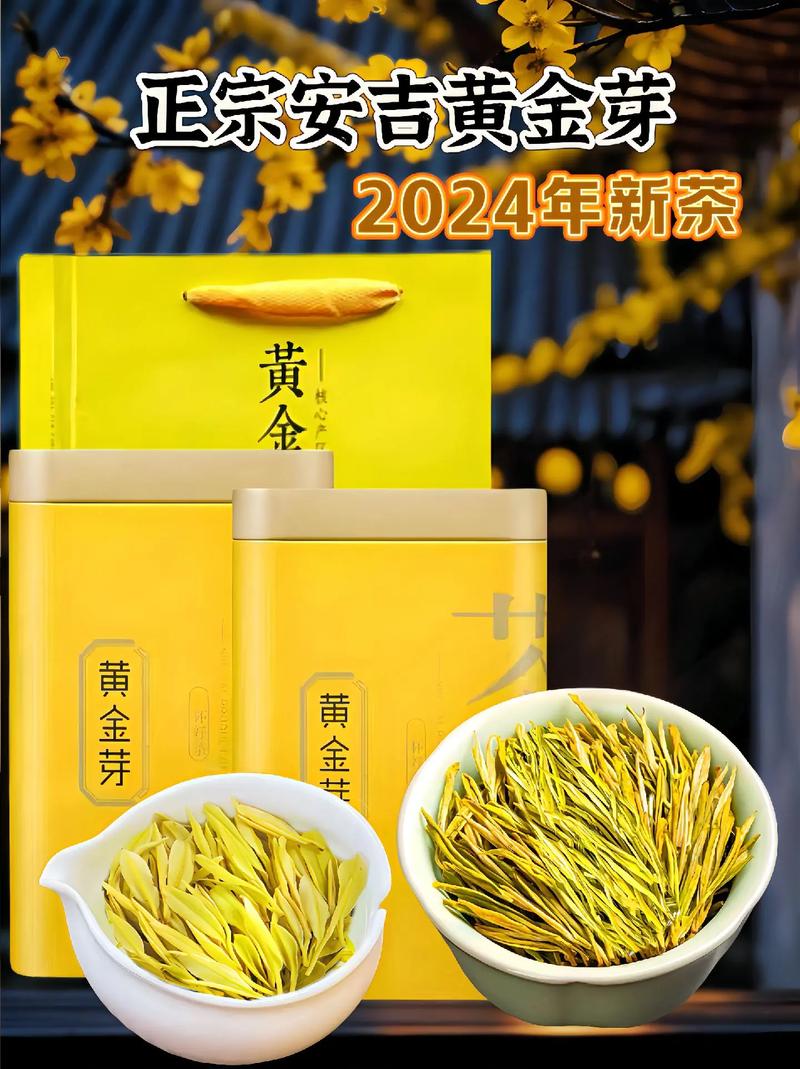 黄金芽:黄金芽多少钱一斤
