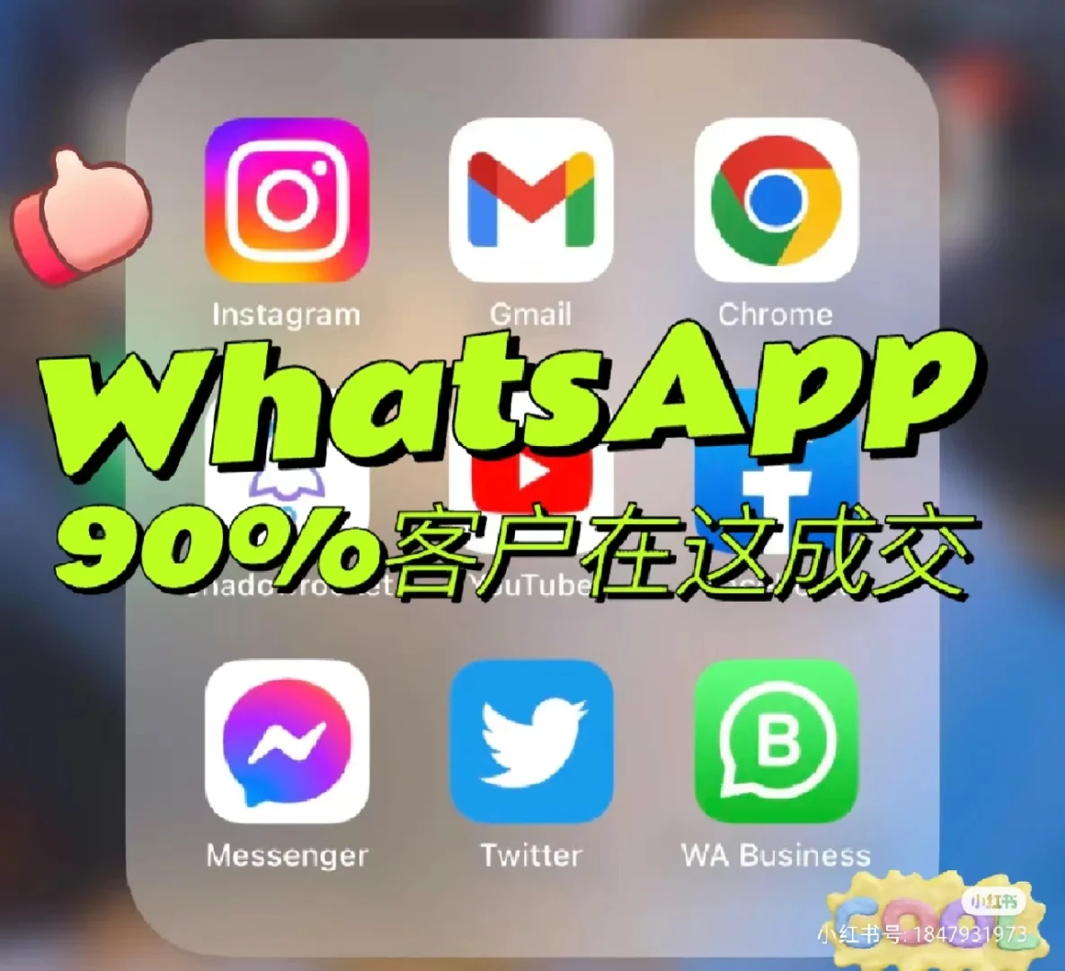 whatsapp无法送达对方手机(whatsapp无法发送短信至您的号码)