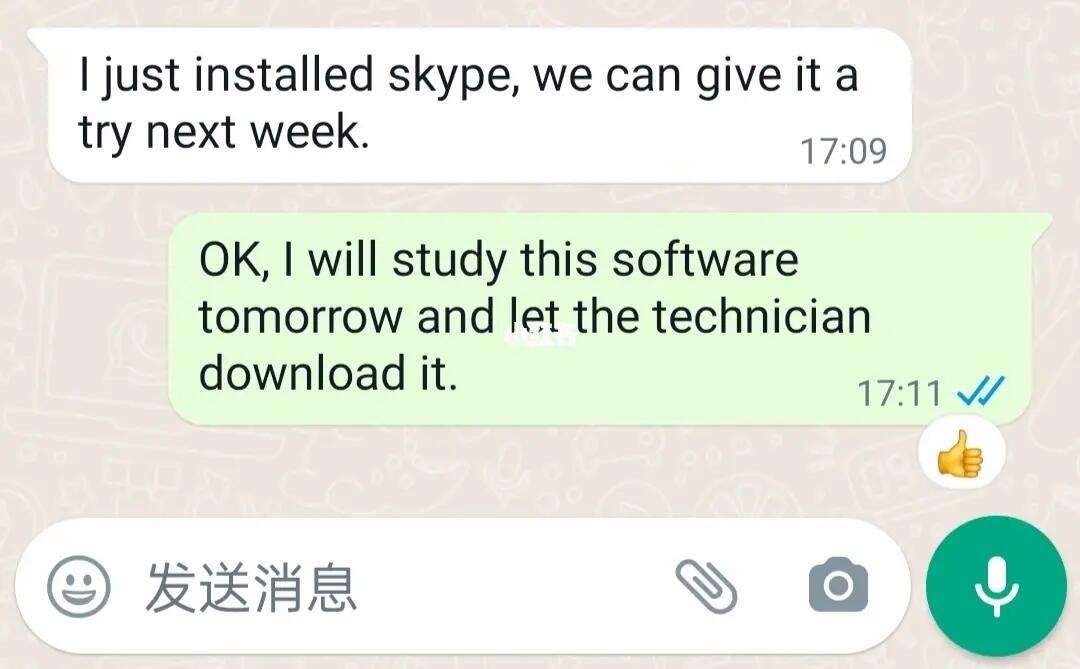 skype的英语(skype英语什么意思)