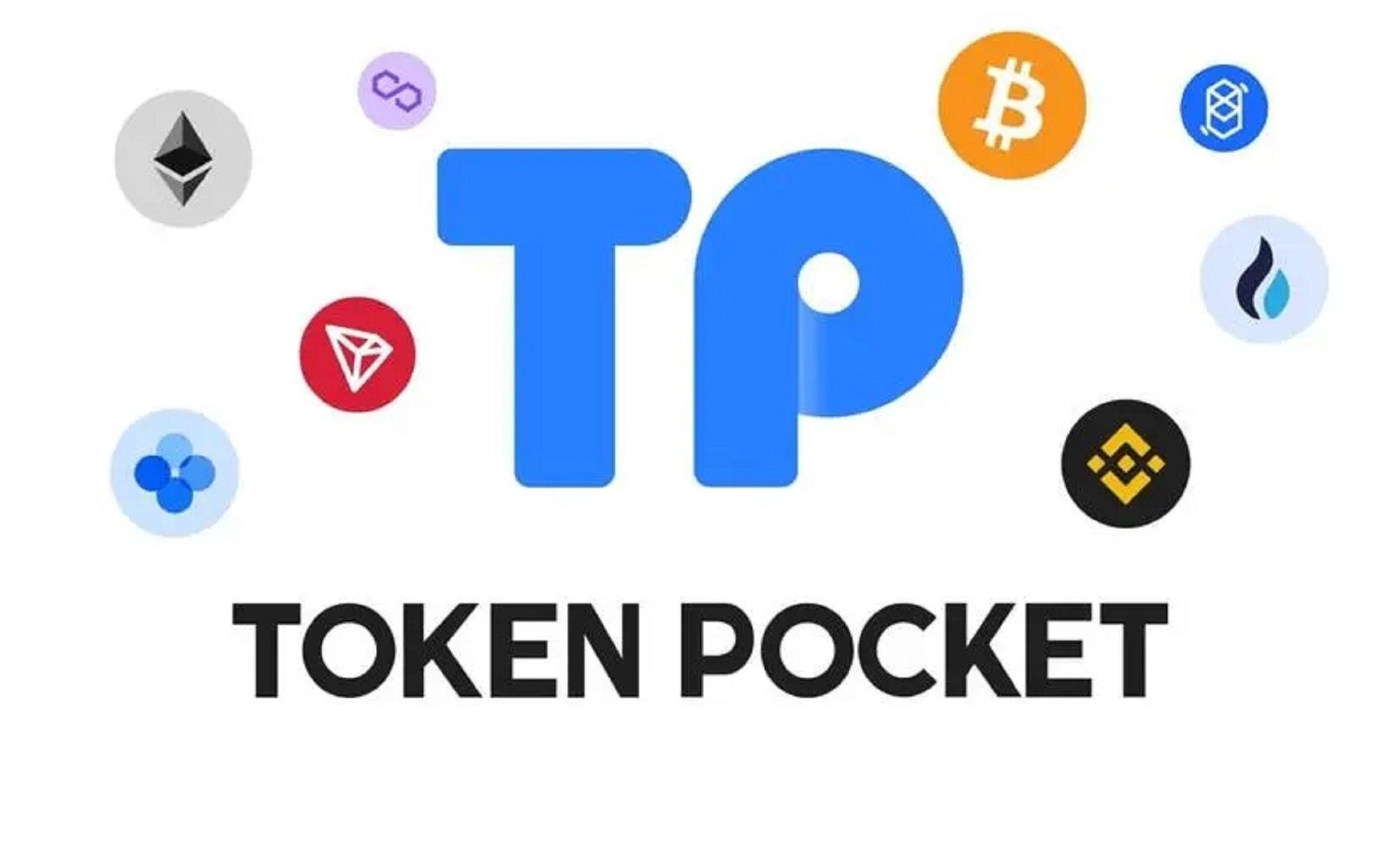 token钱包忘记密码(tokenpocket钱包忘记验证密码)