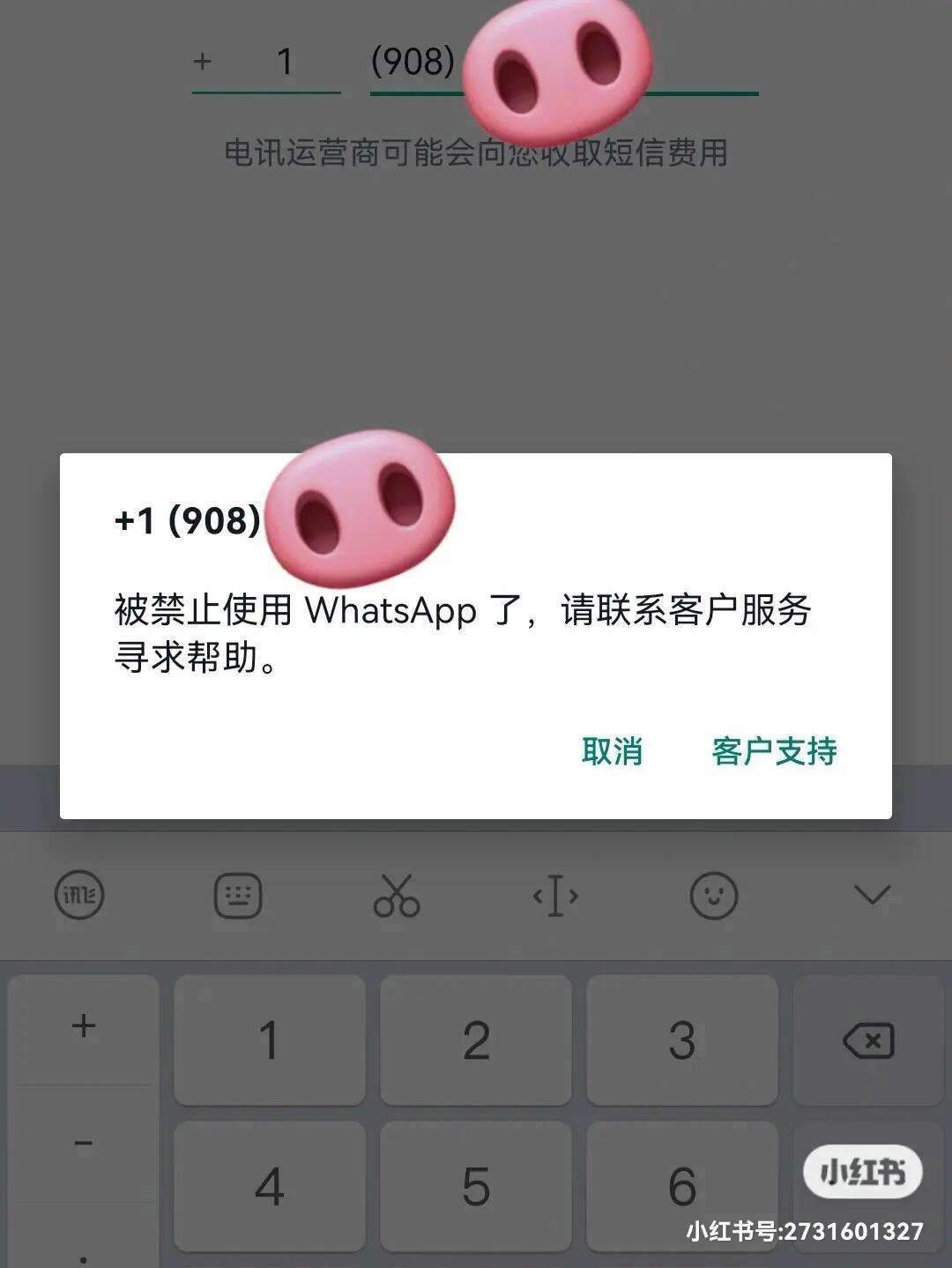 whatsapp官方网站申诉解封(whatsapp申诉不给解封怎么办)