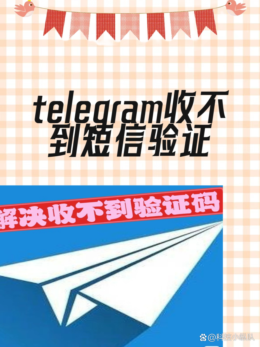 telegram短信验证版本(telegram短信验证解决办法)