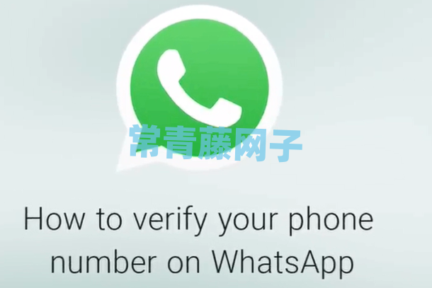 whatsapp官网免费下载安卓版(whatsapp官方网下载安卓2020手机版)