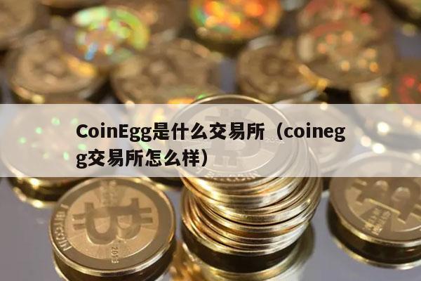 coin是啥(coin 是什么意思)