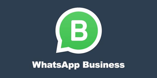 whatsapp管理软件(whatsappliteapk)