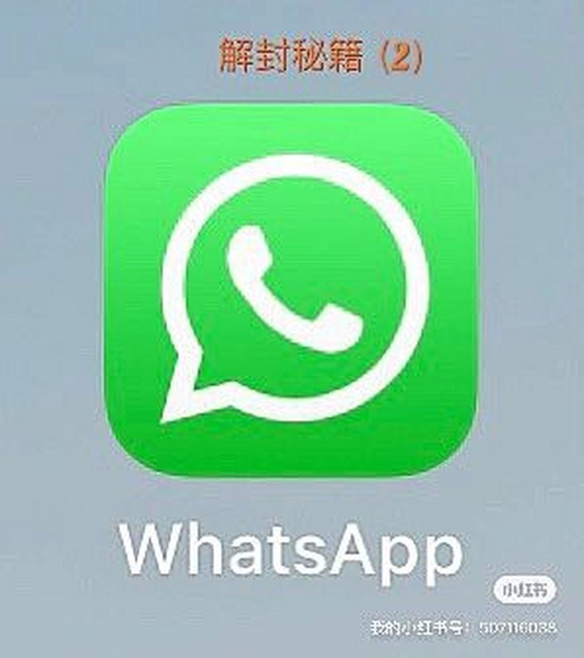 whatsapp下载了不能用(whatsapp下载安装后为什么不能用)