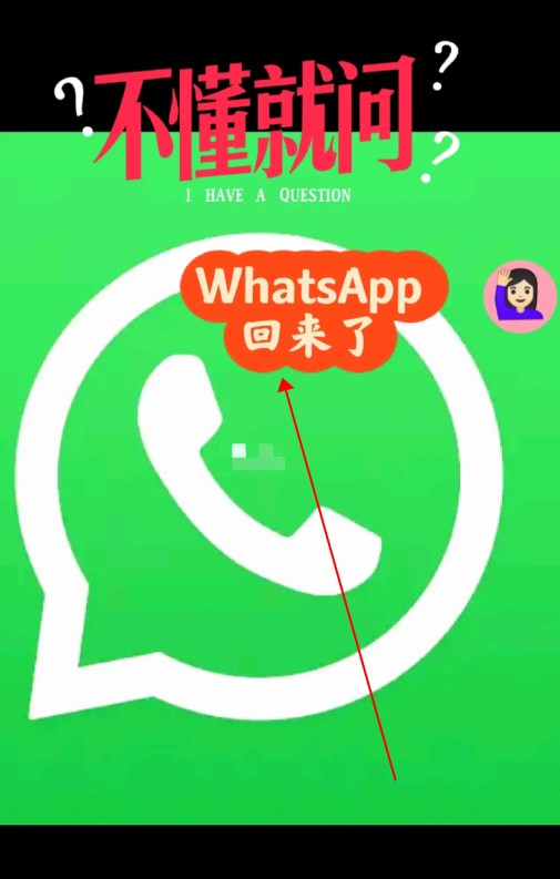 whatsapp下载最新版安装(whatsapp最新版安卓下载安装)