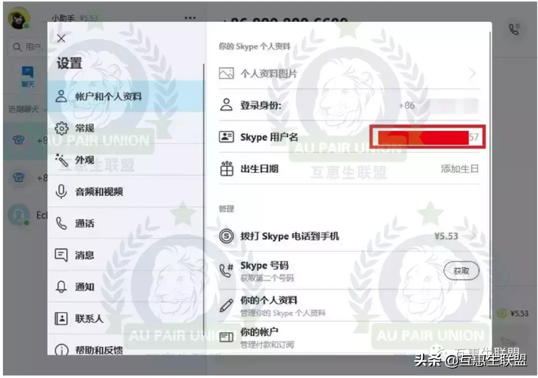 skype在国内的网络下可以用吗(skype在国内的网络下可以用吗安全吗)