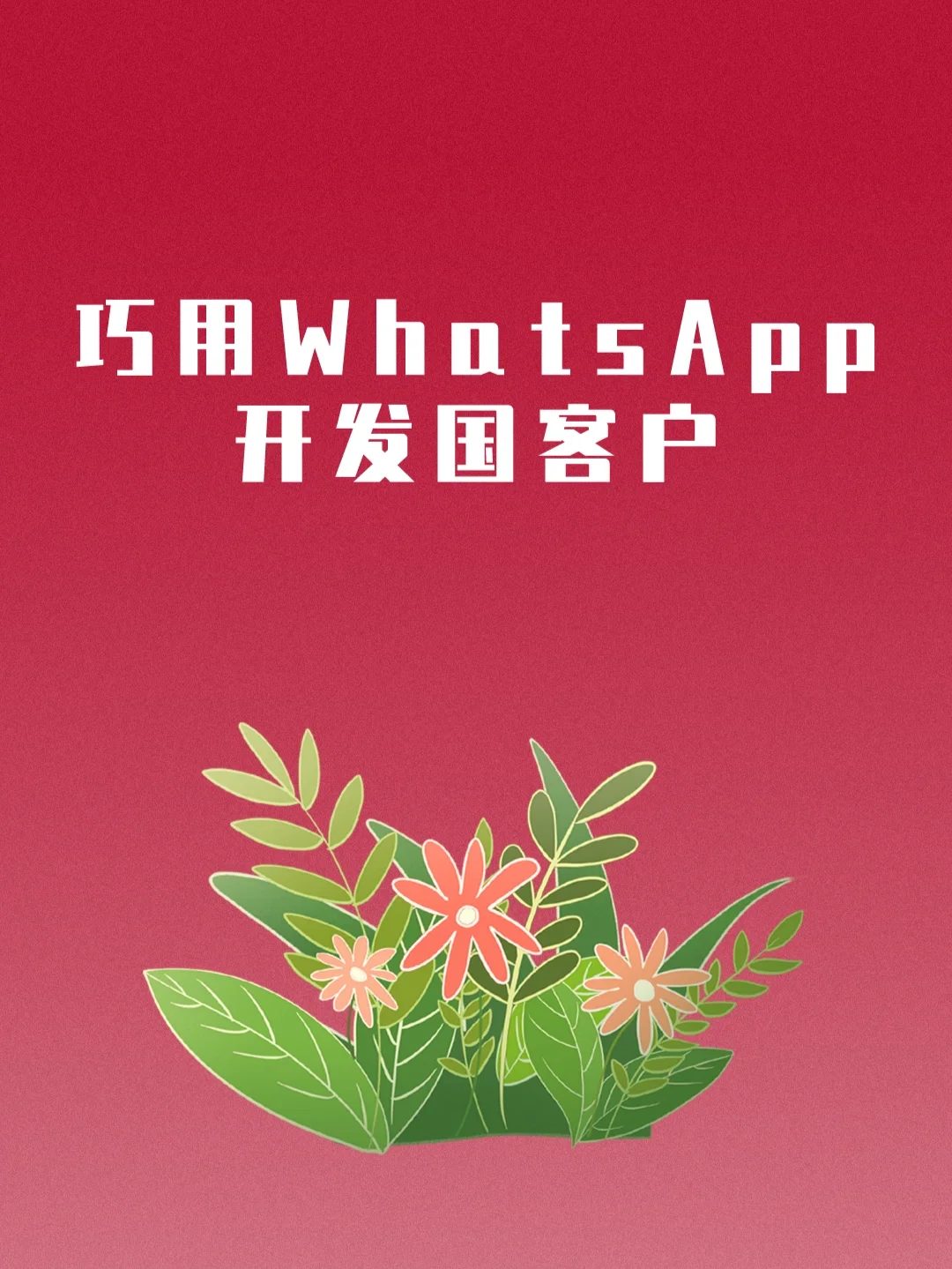 香港人用whatsapp(香港人用什么社交软件比较多)