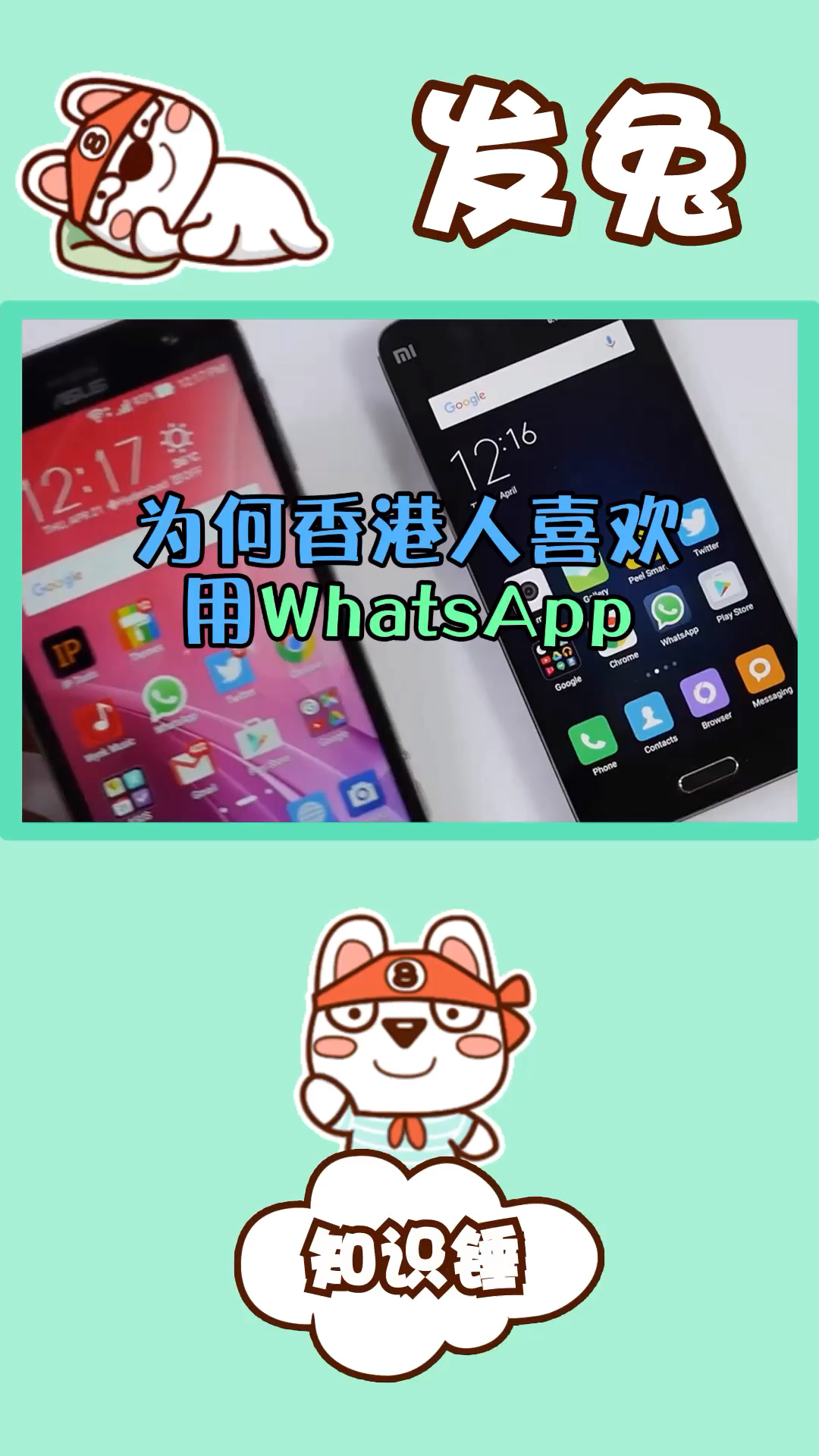 whatsapp香港交流群(whatsapp香港下载安装)