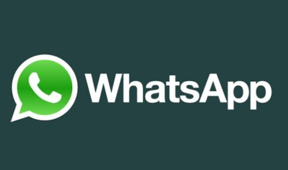 whatsapp方法添加好友(如何用whatsapp添加好友)