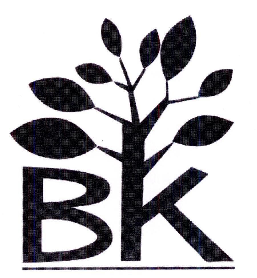 bk公司官网(bkk公司在哪)