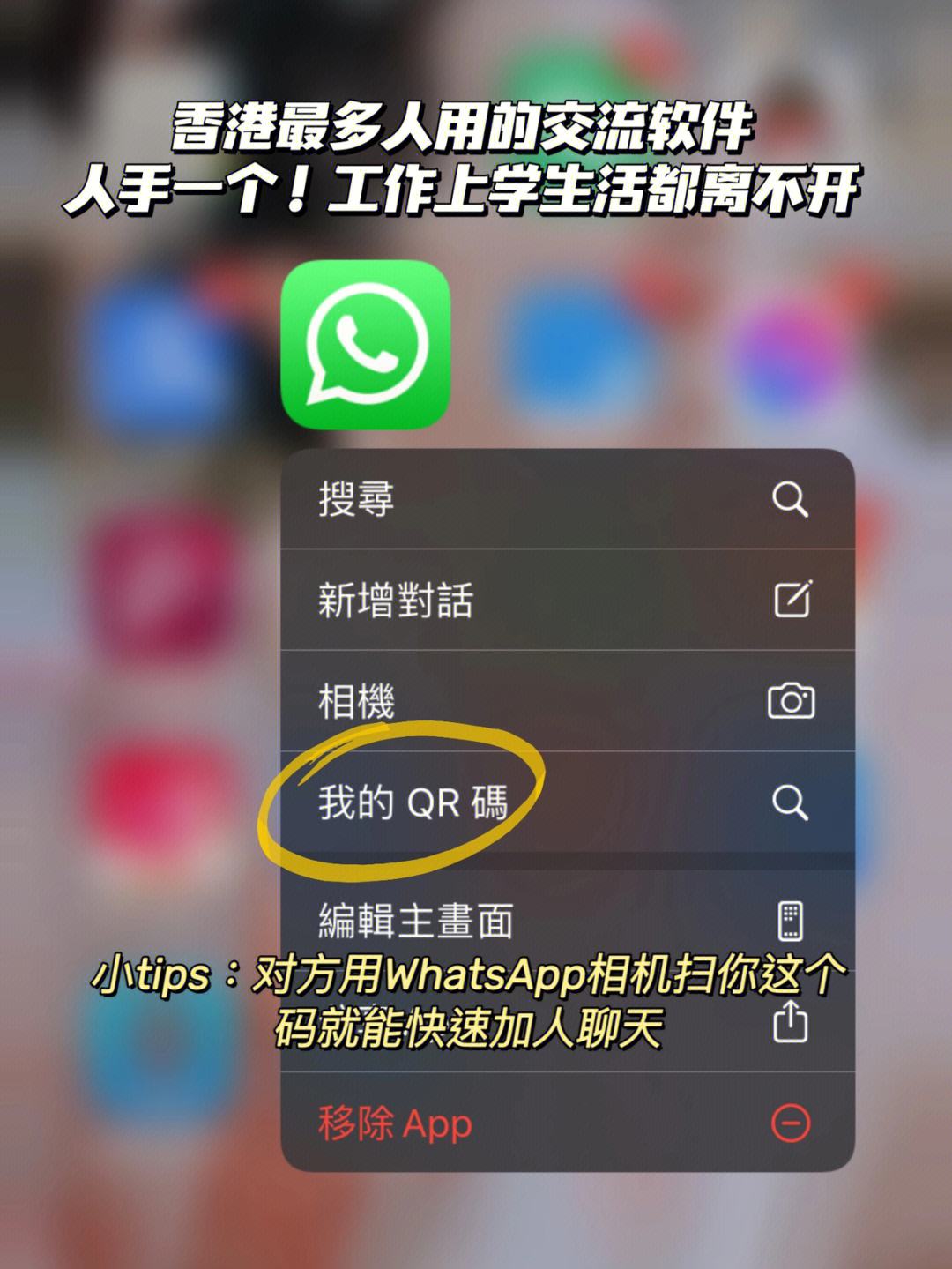 whatsapp香港(whatsapp香港人用的多吗)