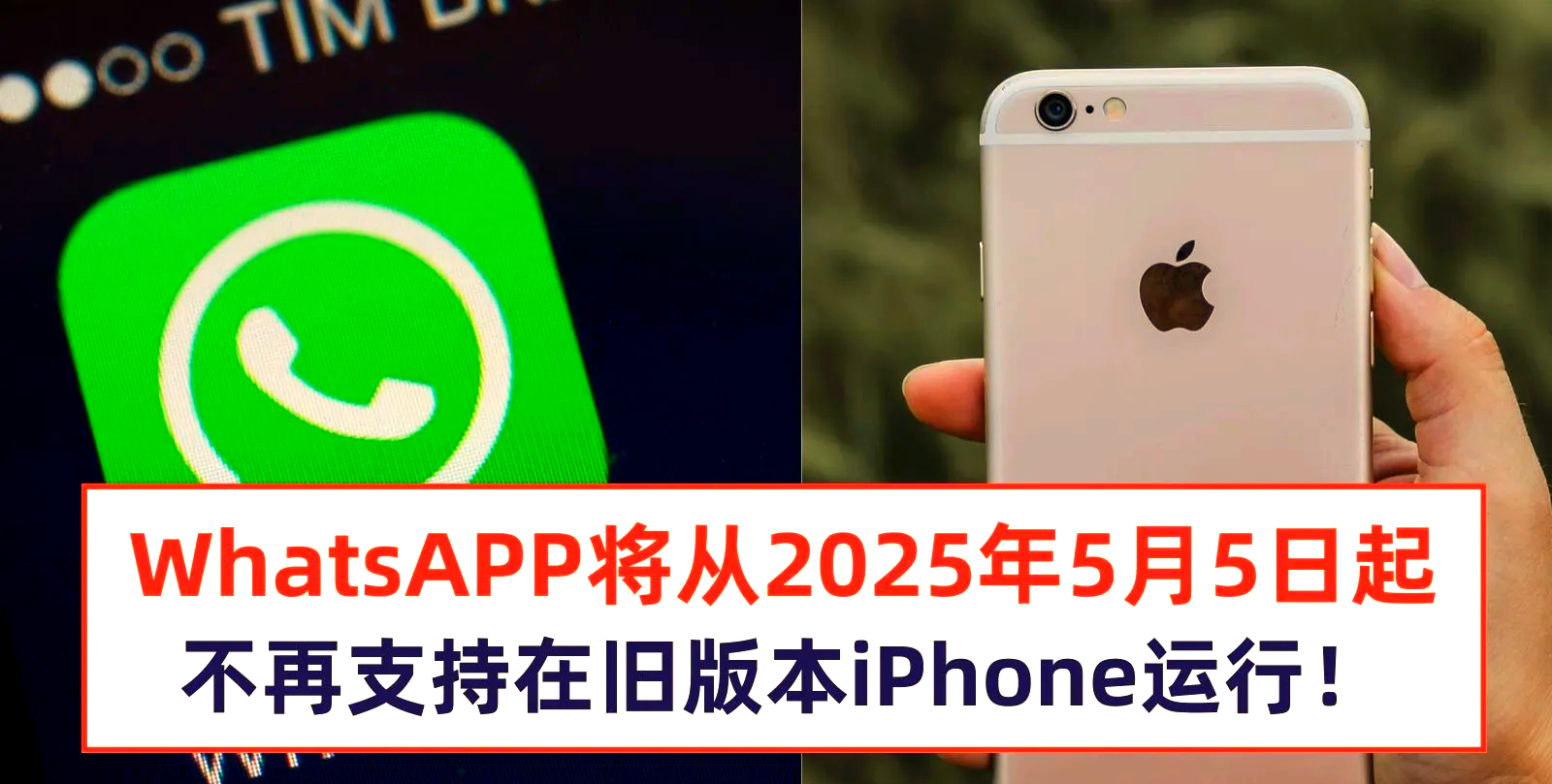 whatsapp官网(whatsapp官网手机版)