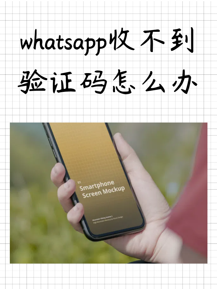 iphone收不到whatsapp验证码(iphone收不到whatsapp验证码正真的原因)