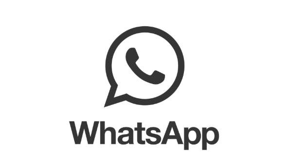 ios版whatsapp的简单介绍