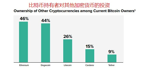 比特币最新消息报告,比特币最新消息报告数据