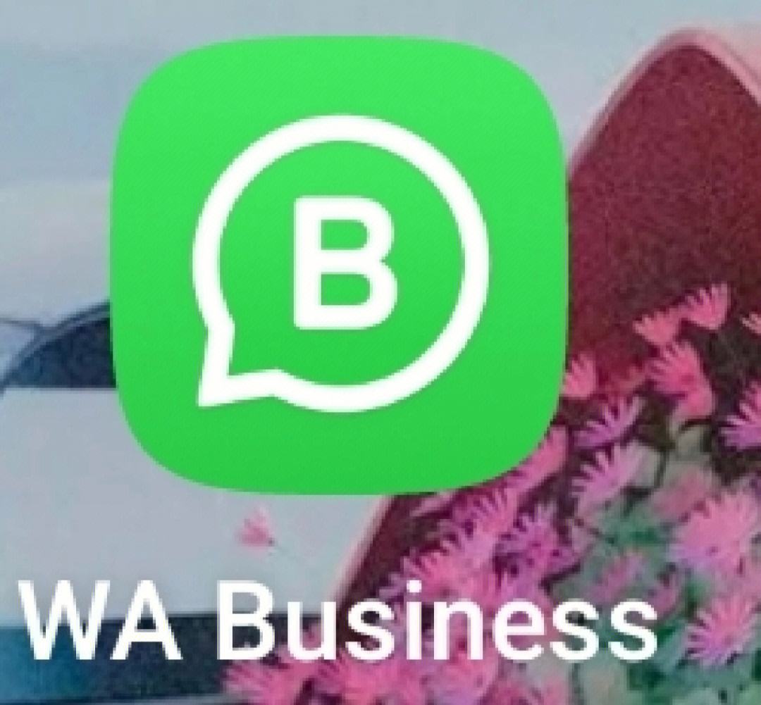 whatsappbusiness,whatsappbusiness无法发送验证短信