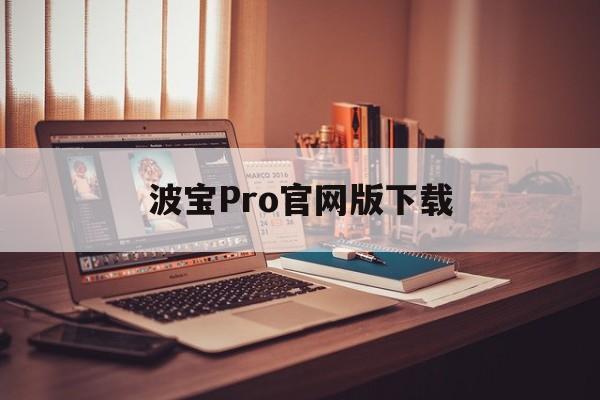 波宝Pro官网版下载(波宝pro官网app下载)